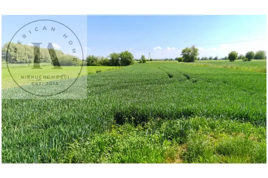 elbląski, Elbląg, Bielnik Drugi, Tania działka-BIELNIK