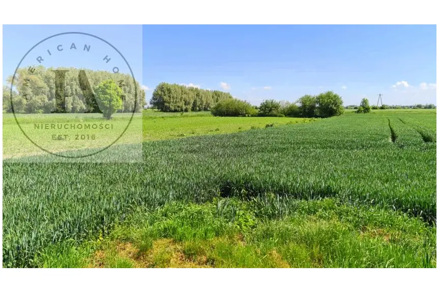 elbląski, Elbląg, Bielnik Drugi, Tania działka-BIELNIK