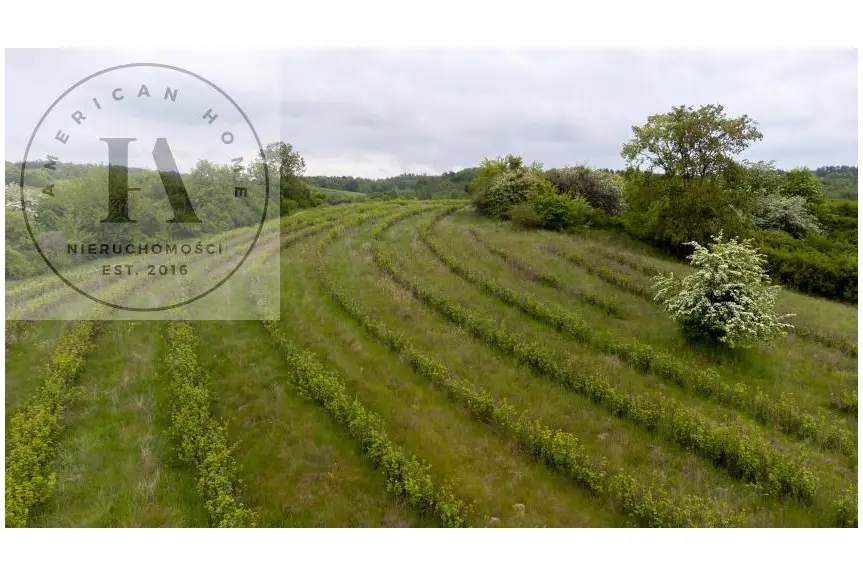 elbląski, Tolkmicko, Rozpocznij Tu Swoją Historię – Tolkmicko 8984 m2