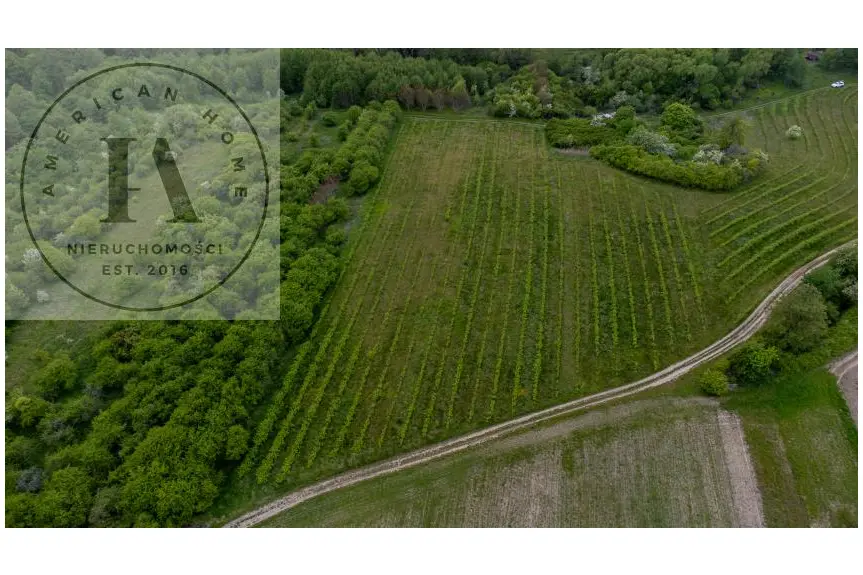 elbląski, Tolkmicko, Zainwestuj w Przyszłość –Tolkmicko 1,47 ha