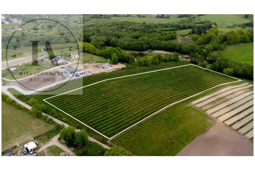 elbląski, Tolkmicko, Romantyczna przestrzeń w sercu natury