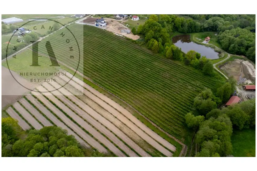 elbląski, Tolkmicko, Romantyczna przestrzeń w sercu natury