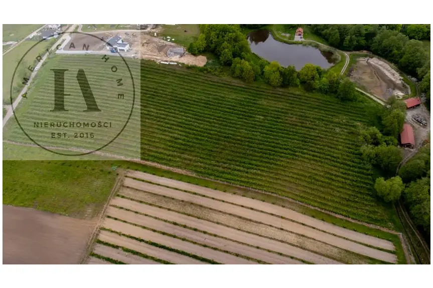 elbląski, Tolkmicko, Romantyczna przestrzeń w sercu natury