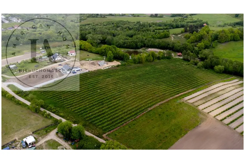 elbląski, Tolkmicko, Romantyczna przestrzeń w sercu natury