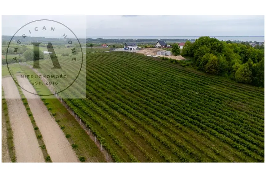 elbląski, Tolkmicko, Romantyczna przestrzeń w sercu natury